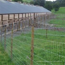 Cerca de gado galvanizado / cerca de gado (venda quente) / fabricação de painel de cerca de gado